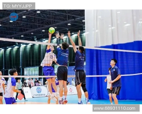广州排球队战术创新引领潮流助力排球竞技新高度
