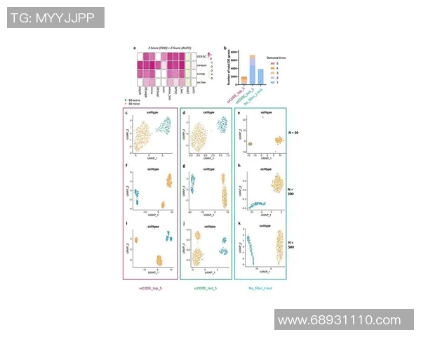 成都排球队团队协作表现的数据分析与提升策略探讨