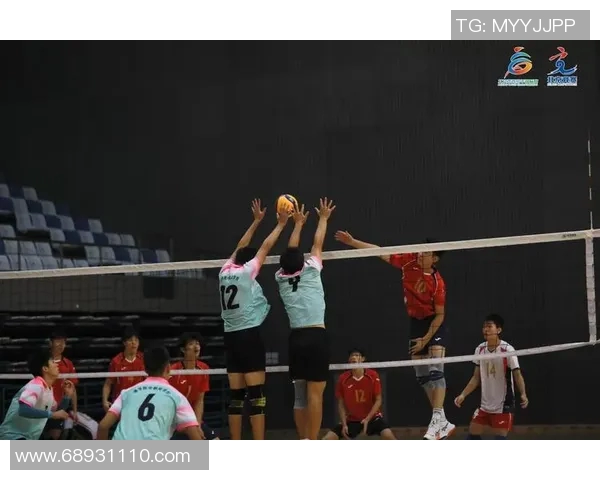 排球比赛经验排行榜揭晓北京排球队荣登第十名引发关注